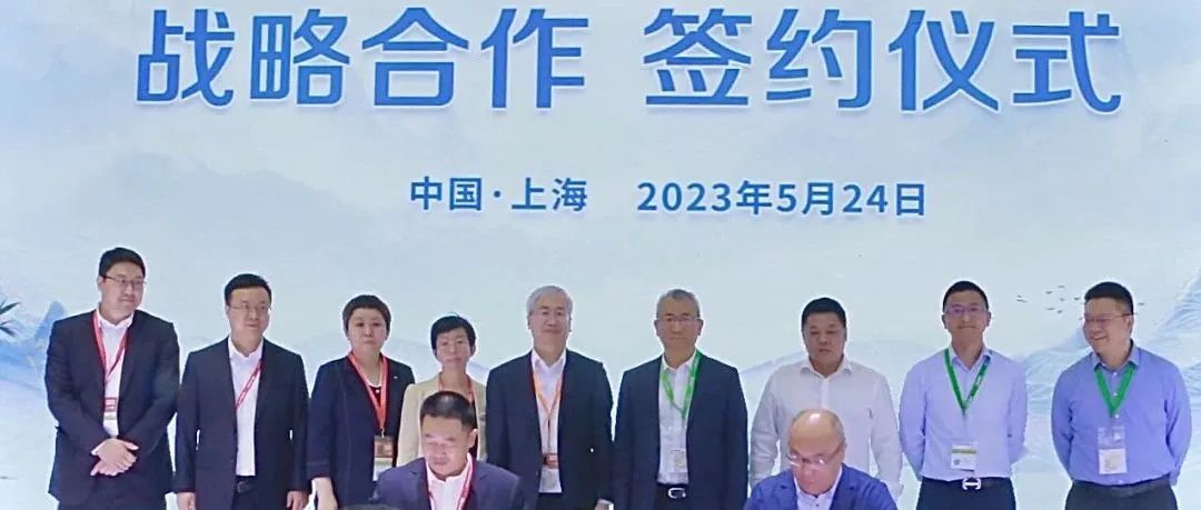  协同共赢|ggbet科技与太阳能公司签署战略合作协议