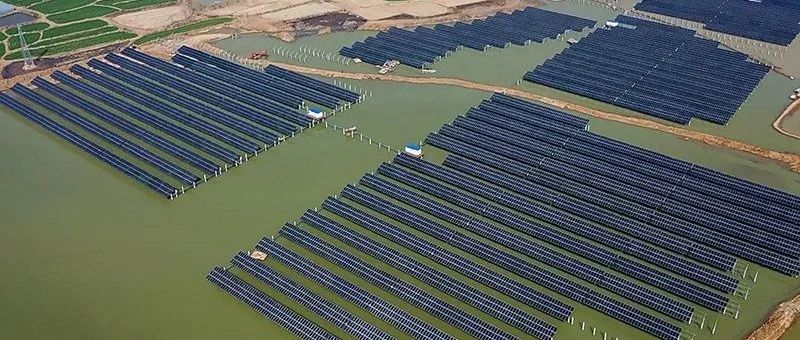  赵立坚微博点赞渔光互补模式ggbet科技滁州项目再受关注